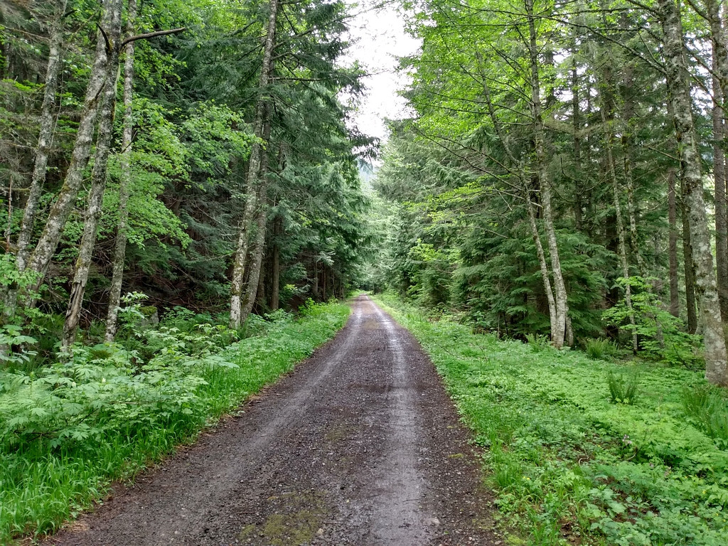 Milwaukee Road west side of snoqualmie tunnel